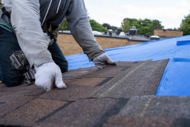 Best Residential Roofing Contractor  in Marfa, TX