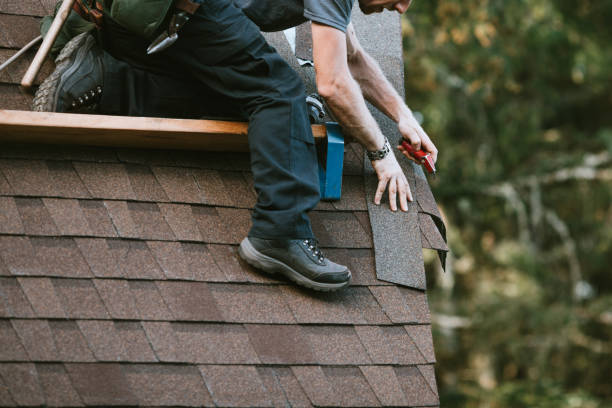 Best Metal Roofing Contractor  in Marfa, TX